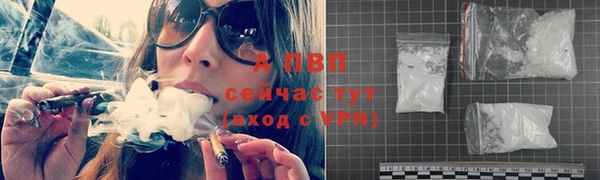 спиды Заводоуковск