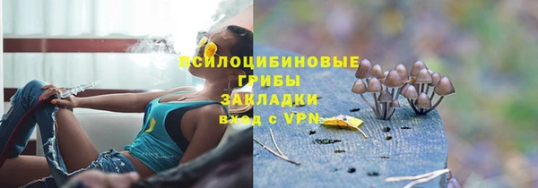 apvp Заволжье