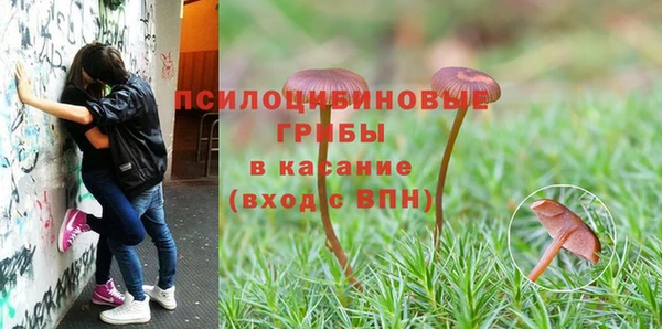 спиды Заводоуковск