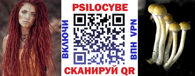 Купить где  Гагарин  Галлюциногенные грибы GOLDEN TEACHER 